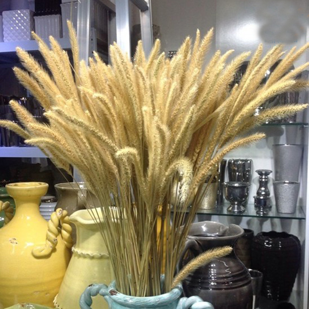 Dried Flower Bunch - 200pcs natural dried Lagurus ovatus bouquets&Uraria