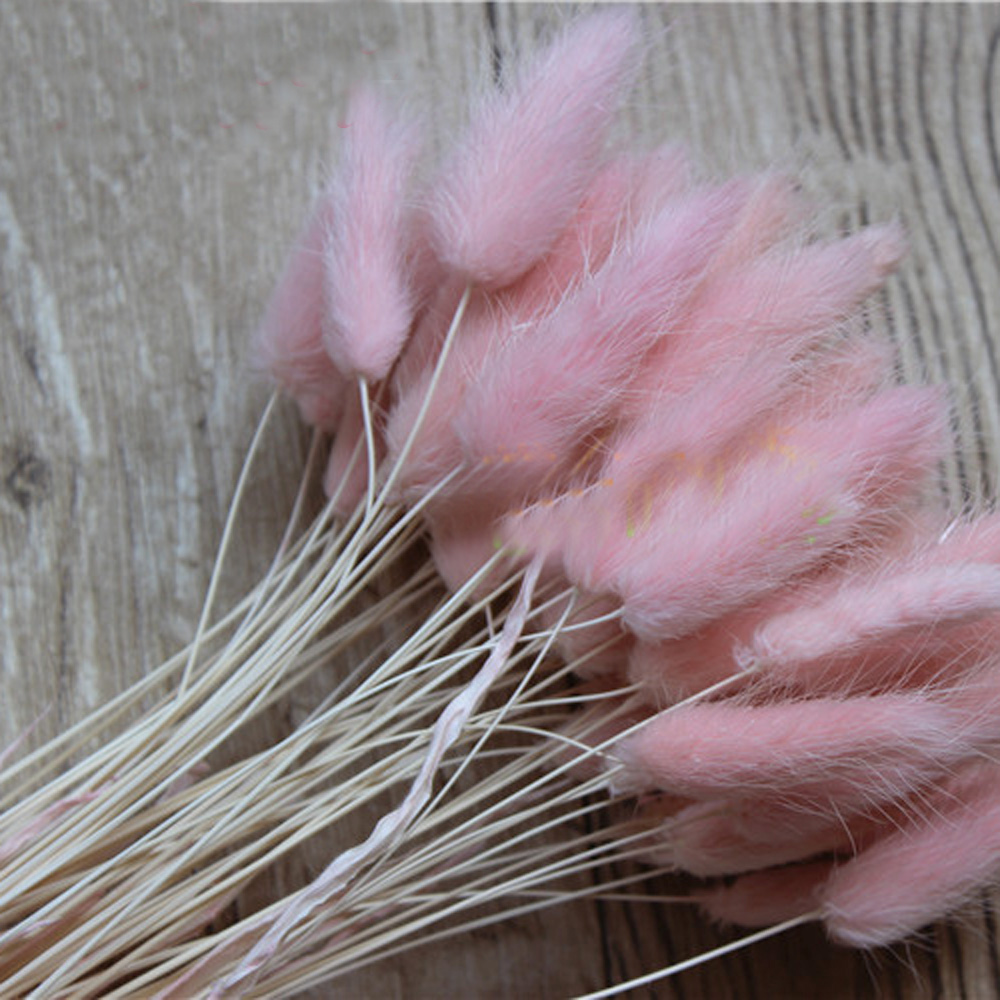 50pcs dried natural flower bou - огляд і ціна Dried Flower Bunch