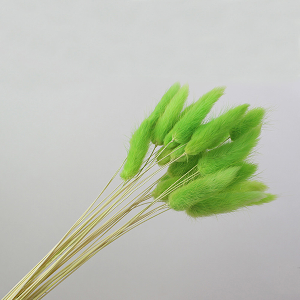50pcs dried natural flower bou - огляд і ціна Dried Flower Bunch