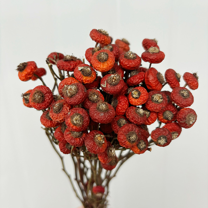 10pcs/Bunch Dried Rose Hip Ber - огляд і ціна Dried Flower Bunch