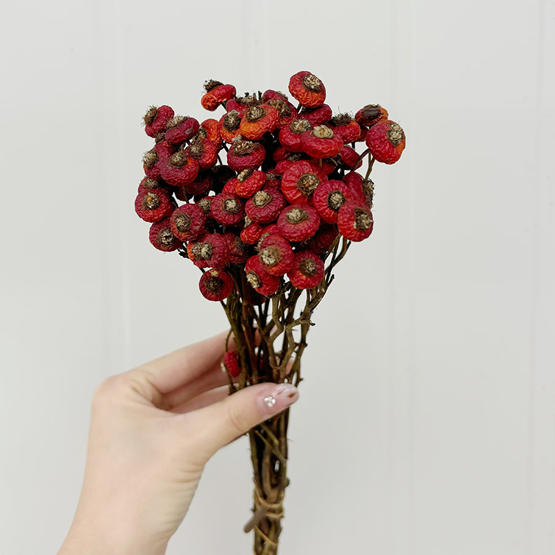 10pcs/Bunch Dried Rose Hip Ber - огляд і ціна Dried Flower Bunch