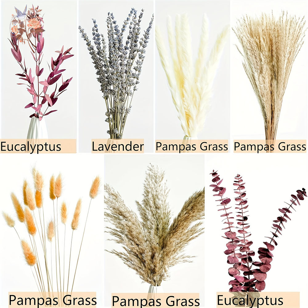 75PCS Dried Pampas Eucalyptus  - огляд і ціна Dried Flower Bunch