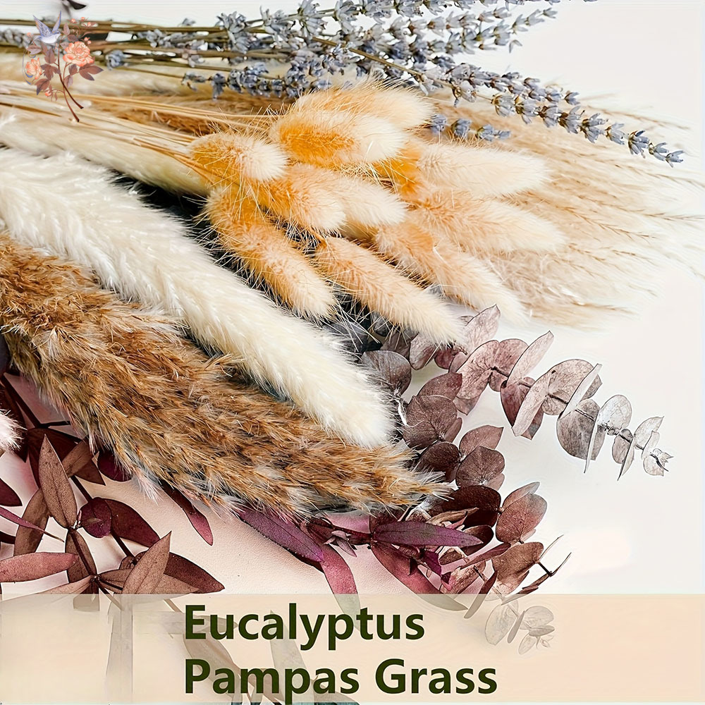 75PCS Dried Pampas Eucalyptus  - огляд і ціна Dried Flower Bunch
