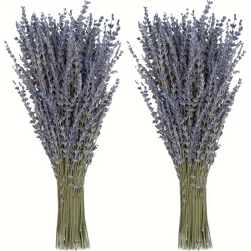 200pcs/Bunch Lavender Dried Fl - огляд і ціна Dried Flower Bunch