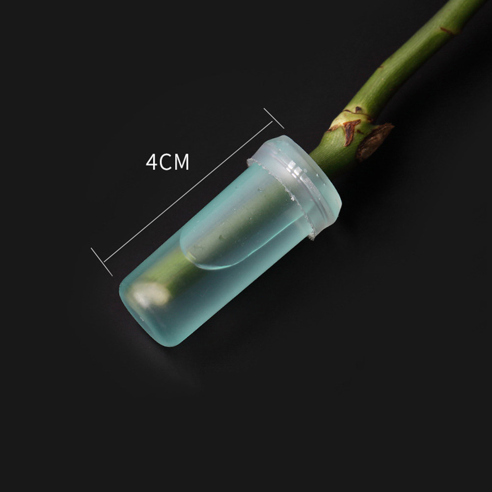 20Pcs Floral Water Tubes 4.1x1 - огляд і ціна Stem Extender Tube