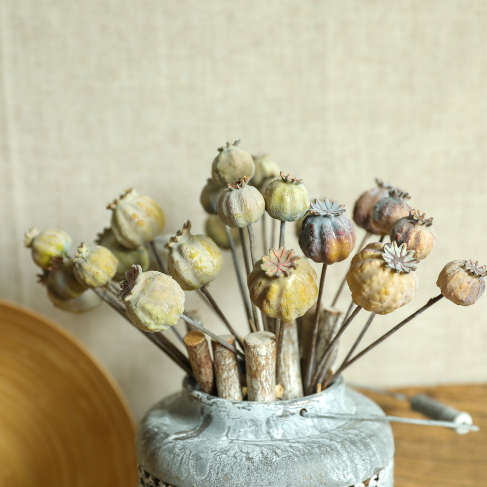 6Heads Poppies Fruit Dried Flo - огляд і ціна Dried Flower Bunch