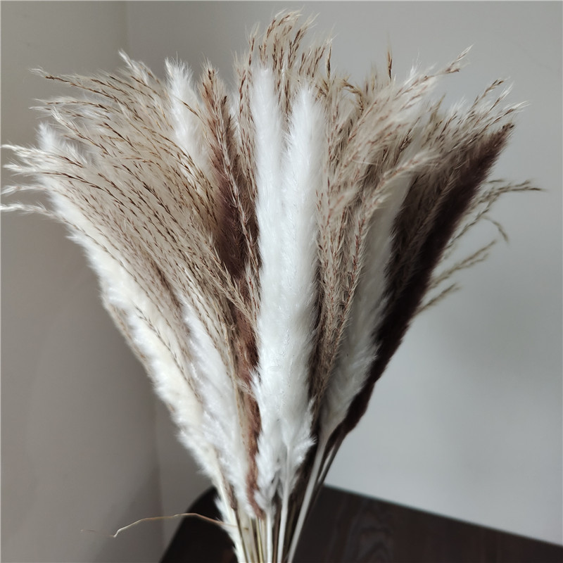 15/30pcs Mixed Dried Flower Bo - огляд і ціна Dried Flower Bunch
