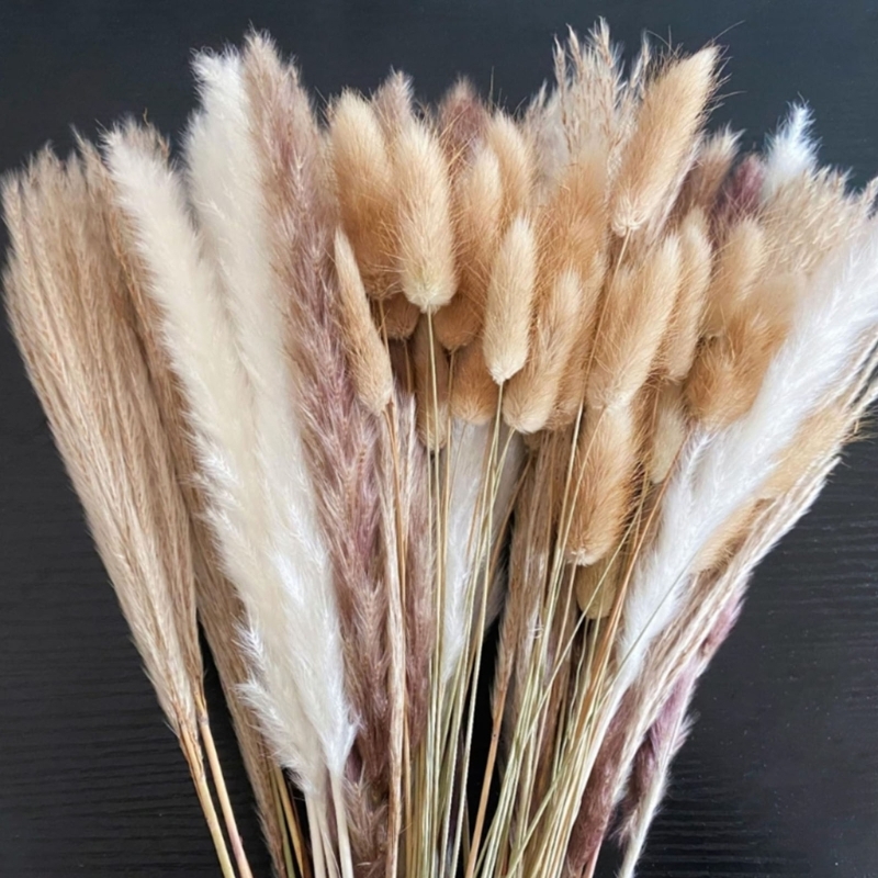 Bulk 100PCS Dried Pampas Grass - огляд і ціна Dried Flower Bunch