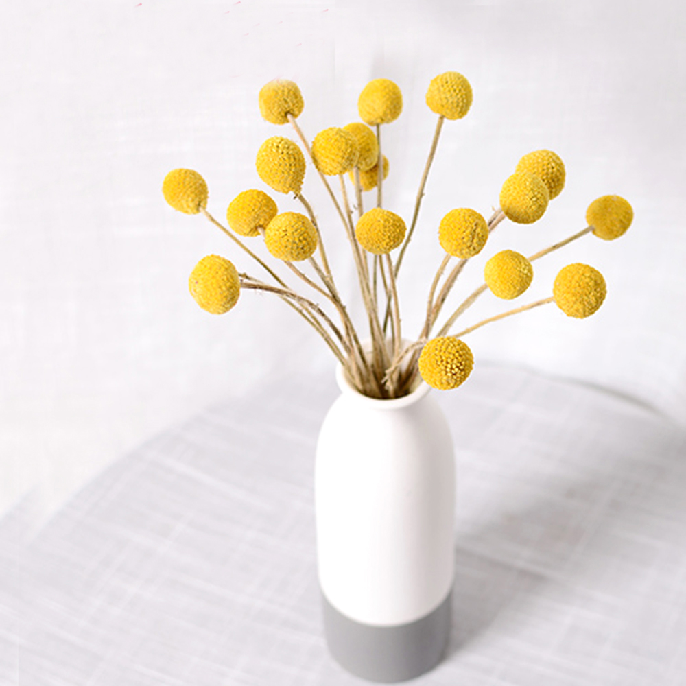 20pcs Natural dried Craspedia  - огляд і ціна Dried Flower Bunch