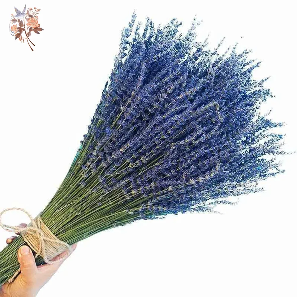 50g Natural Dried Lavender Bou - огляд і ціна Dried Flower Bunch