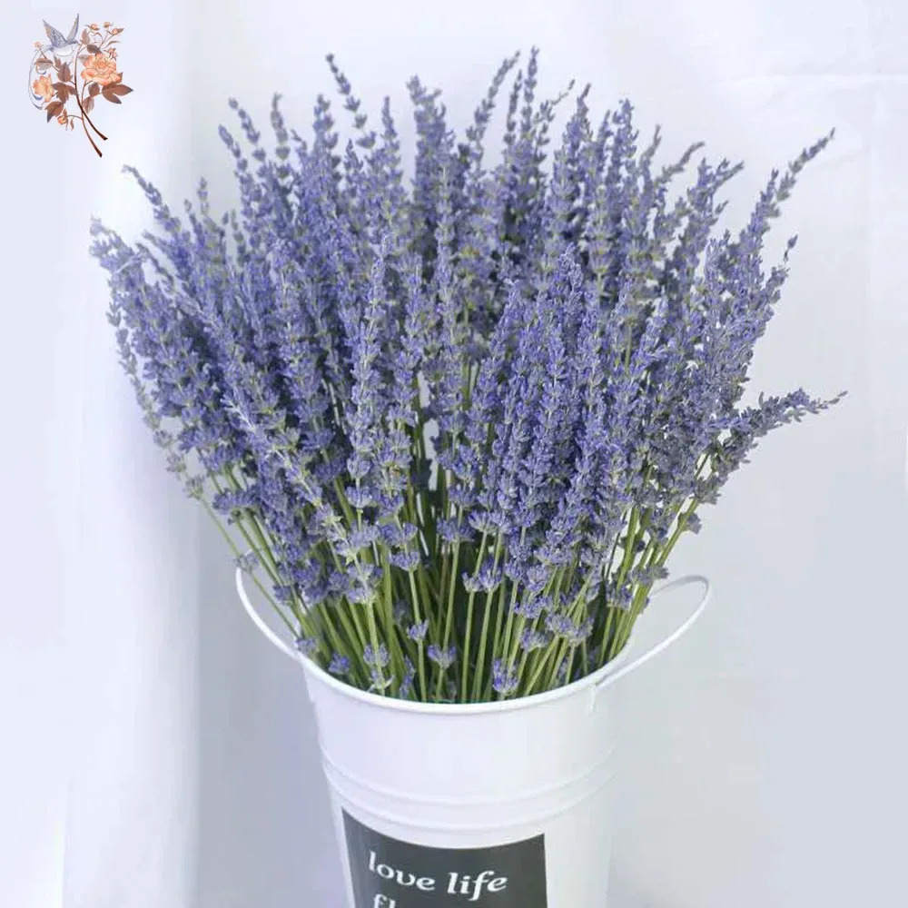50g Natural Dried Lavender Bou - огляд і ціна Dried Flower Bunch