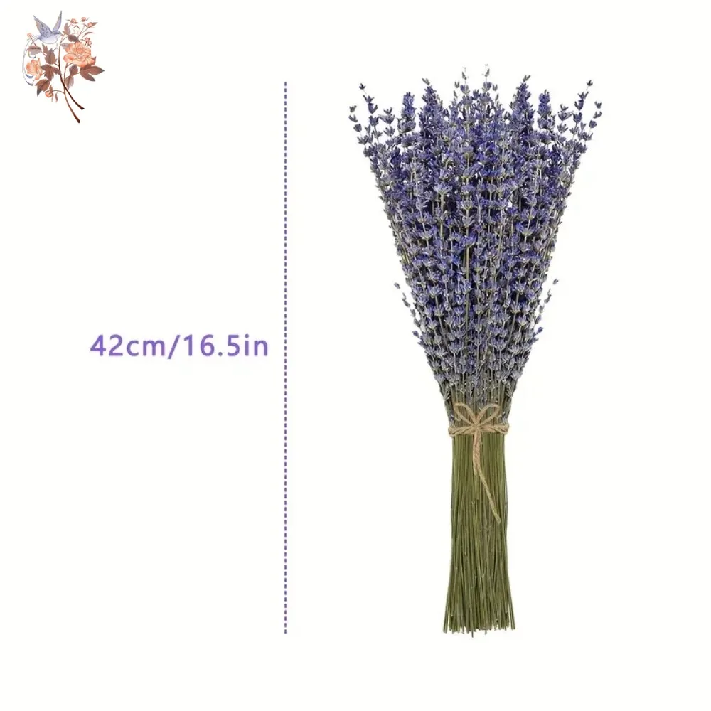 50g Natural Dried Lavender Bou - огляд і ціна Dried Flower Bunch
