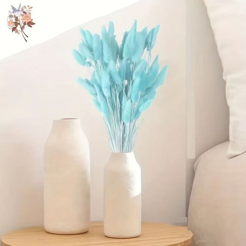 100Pcs Natural Rabbit Tails Gr - огляд і ціна Dried Flower Bunch