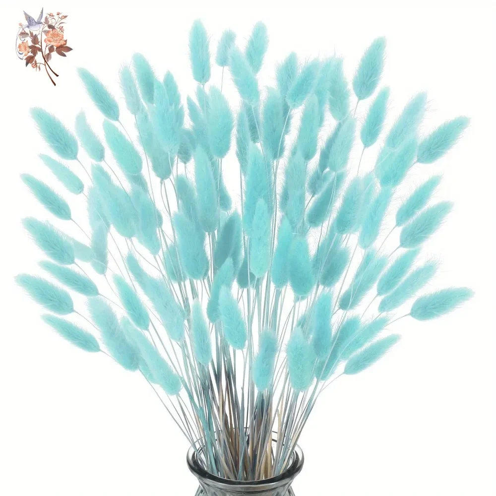 100Pcs Natural Rabbit Tails Gr - огляд і ціна Dried Flower Bunch