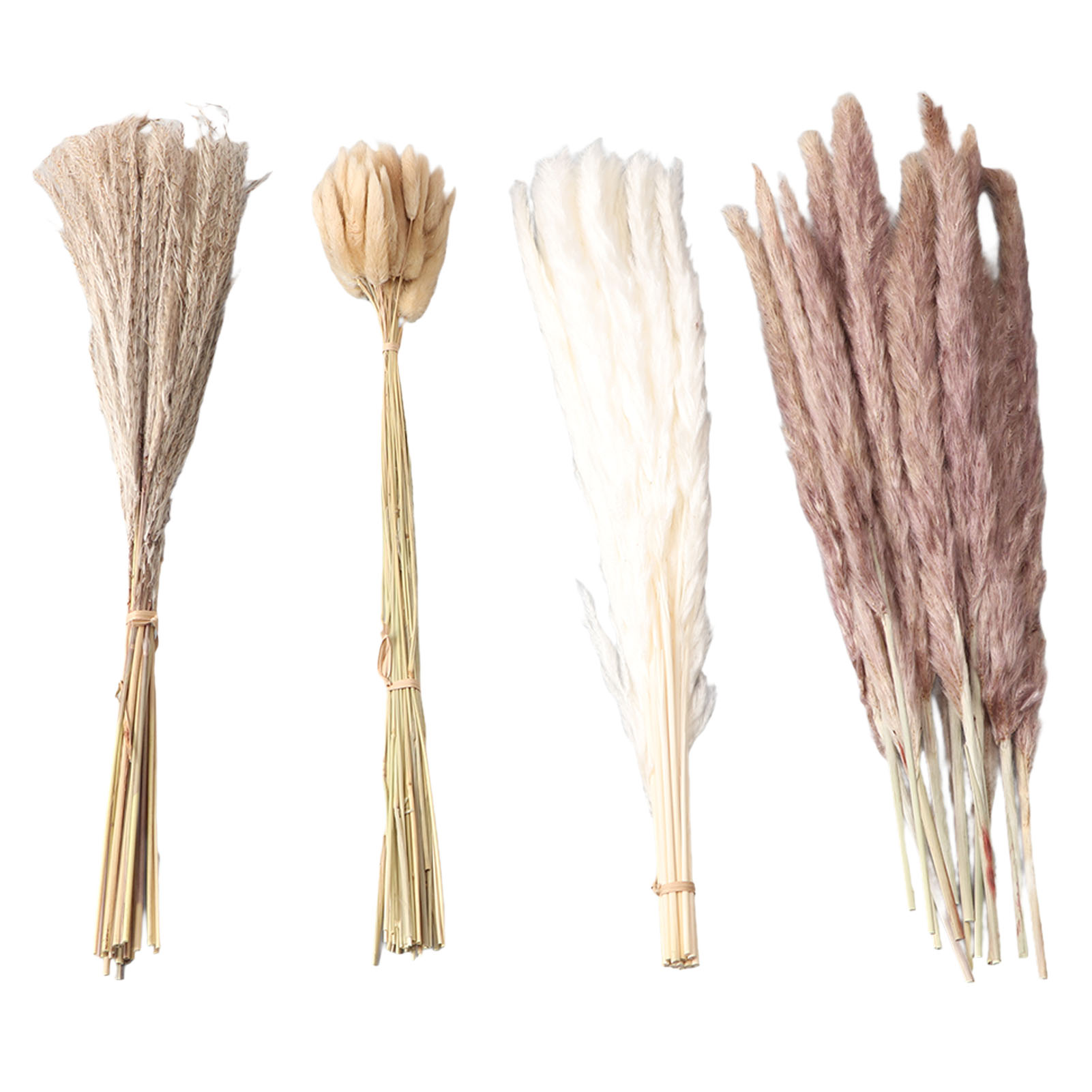 Natural Dried Pampas Grass Flu - огляд і ціна Dried Flower Bunch
