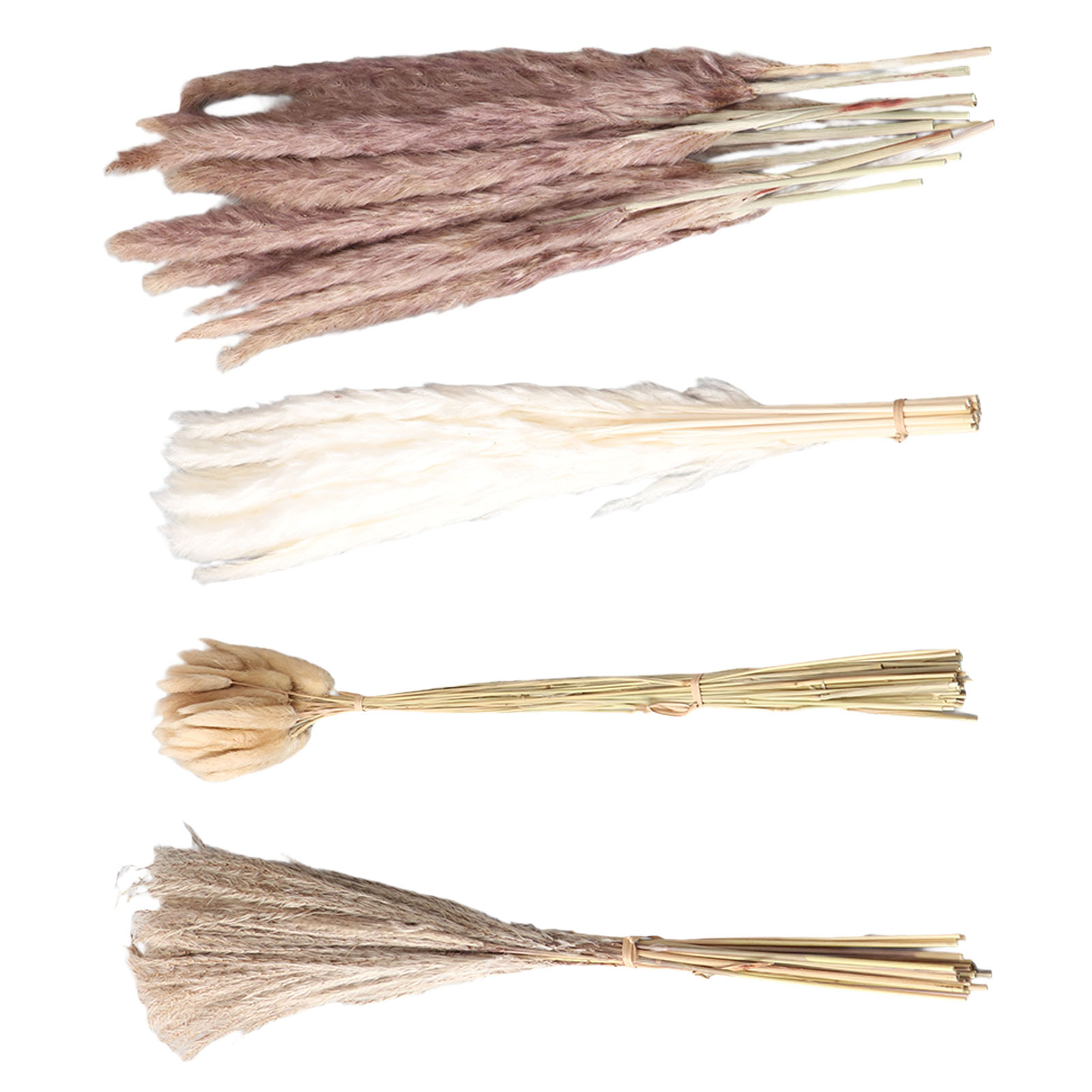 Natural Dried Pampas Grass Flu - огляд і ціна Dried Flower Bunch