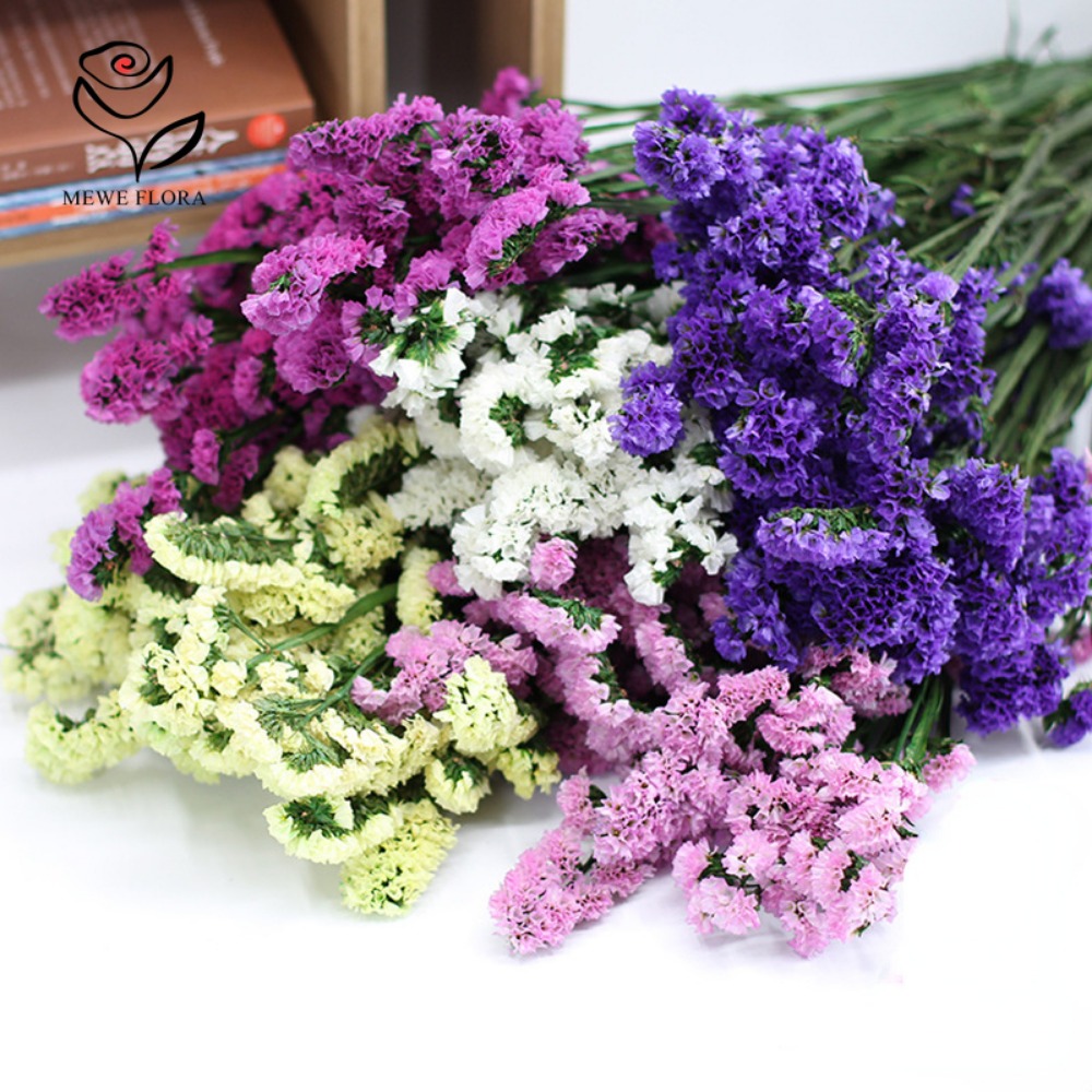 100g Dried Forget Me Not Flowe - огляд і ціна Dried Flower Bunch