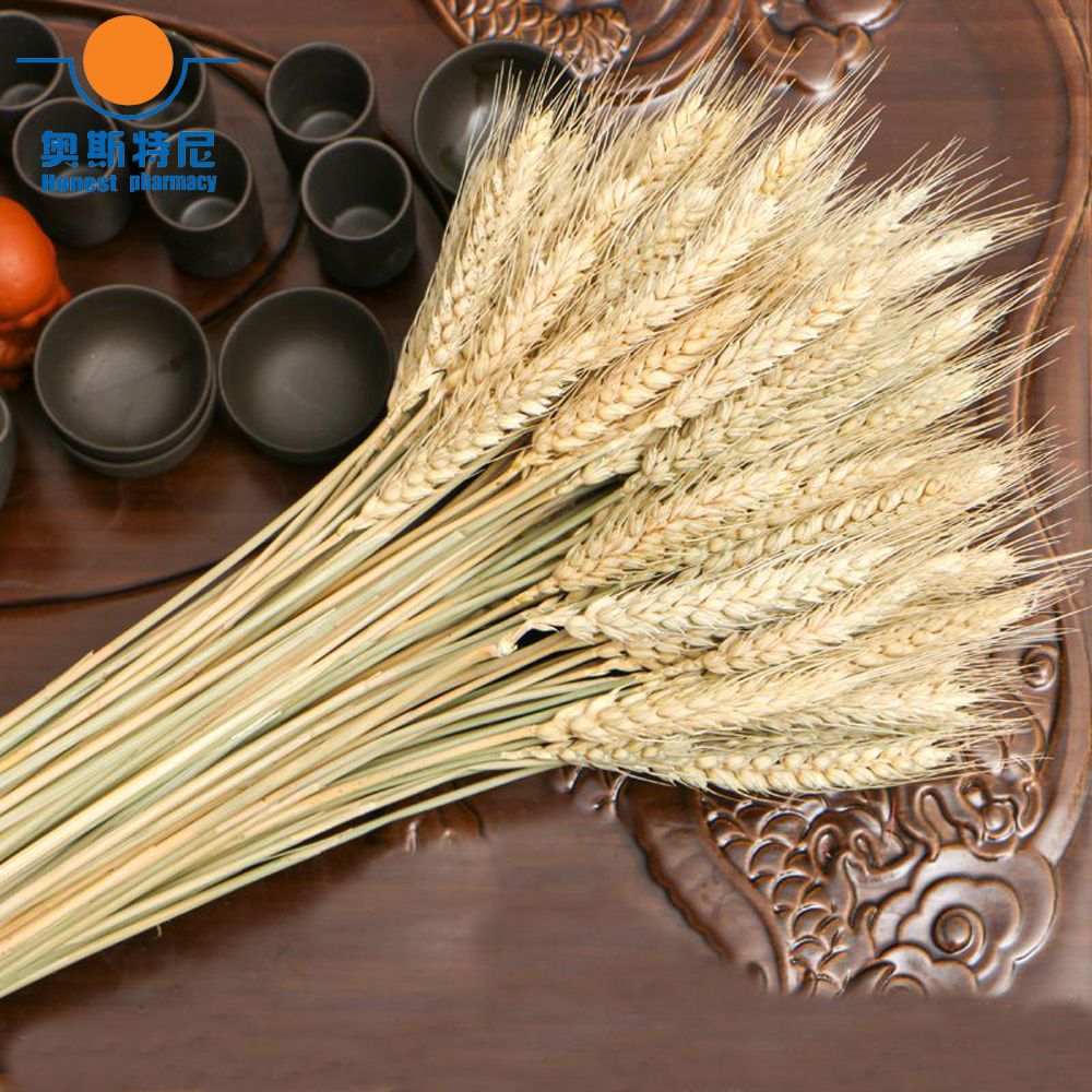 50pcs natural dried flower bou - огляд і ціна Dried Flower Bunch
