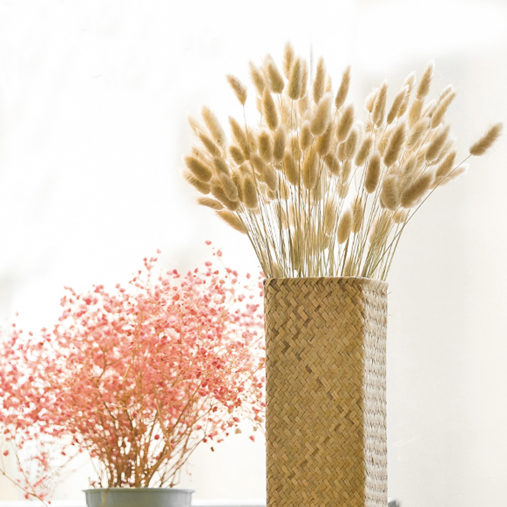 200pcs natural dried Lagurus o - огляд і ціна Dried Flower Bunch